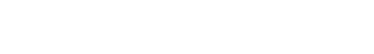 SeatSkull Seat Protector